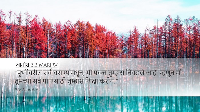 आमोस 3:2 MARIRV Bible Verse Image