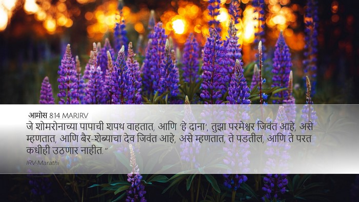 आमोस 8:14 MARIRV Bible Verse Image