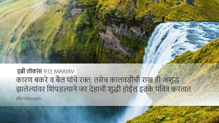 इब्री लोकांस 9:13 MARIRV Bible Verse Image