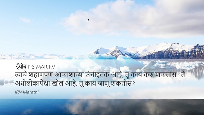 ईयोब 11:8 MARIRV Bible Verse Image