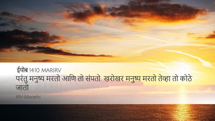 ईयोब 14:10 MARIRV Bible Verse Image