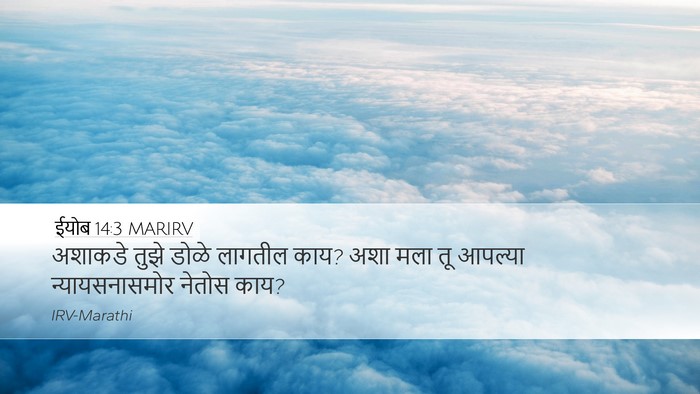 ईयोब 14:3 MARIRV Bible Verse Image
