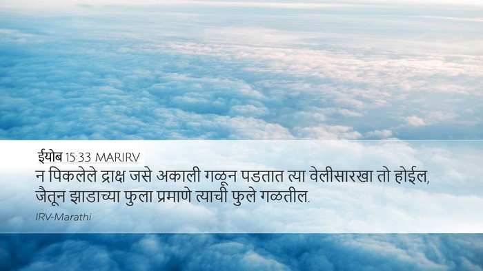 ईयोब 15:33 MARIRV Desktop Wallpaper - न पिकलेले द्राक्ष - Desktop Bible Verse Wallpaper