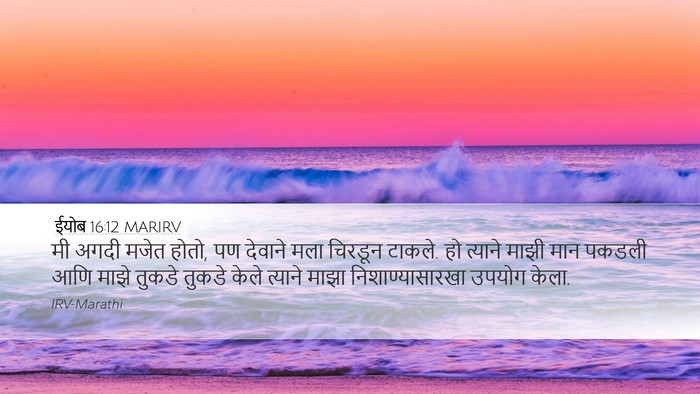 ईयोब 16:12 MARIRV Bible Verse Image