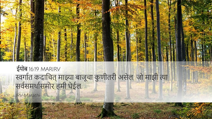 ईयोब 16:19 MARIRV Desktop Wallpaper - स्वर्गात कदाचित् - Desktop Bible Verse Wallpaper