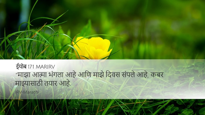 ईयोब 17:1 MARIRV Bible Verse Image