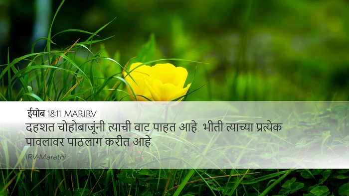 ईयोब 18:11 MARIRV Bible Verse Image