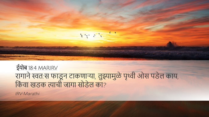 ईयोब 18:4 MARIRV Bible Verse Image