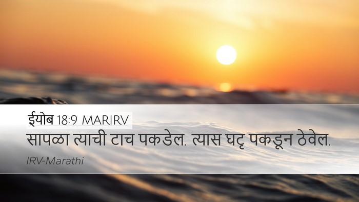 ईयोब 18:9 MARIRV Bible Verse Image