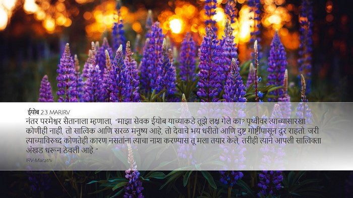 ईयोब 2:3 MARIRV Bible Verse Image