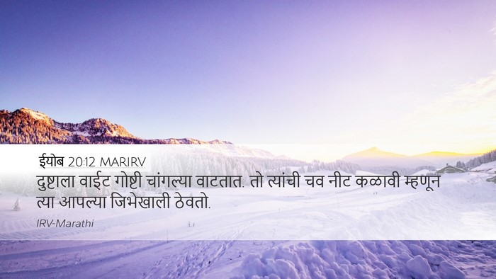ईयोब 20:12 MARIRV Bible Verse Image