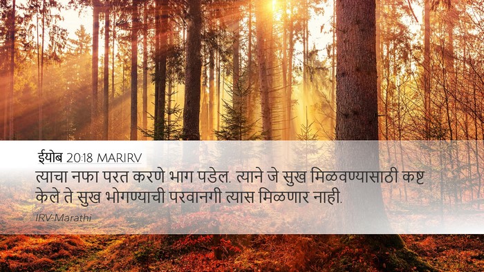ईयोब 20:18 MARIRV Bible Verse Image