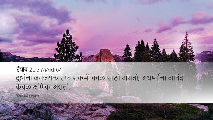 ईयोब 20:5 MARIRV Bible Verse Image