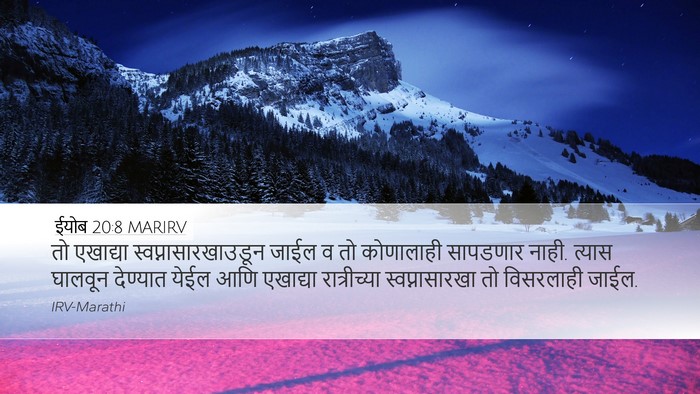 ईयोब 20:8 MARIRV Bible Verse Image