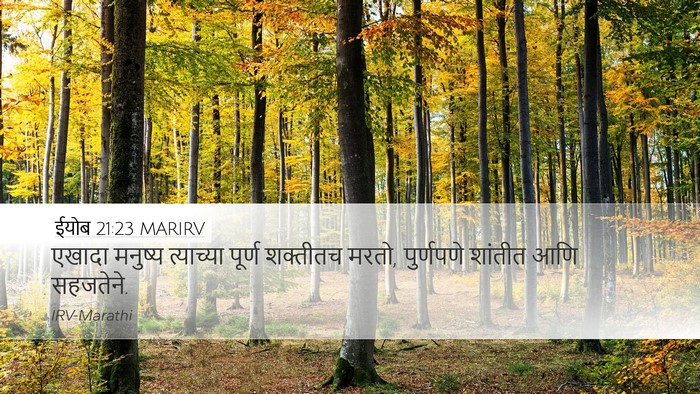 ईयोब 21:23 MARIRV Bible Verse Image