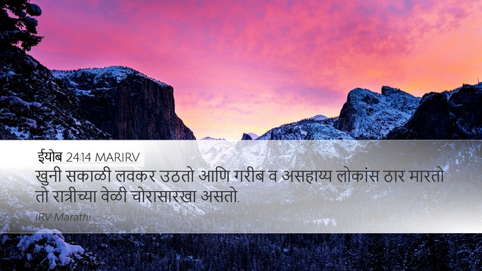 ईयोब 24:14 MARIRV Bible Verse Image