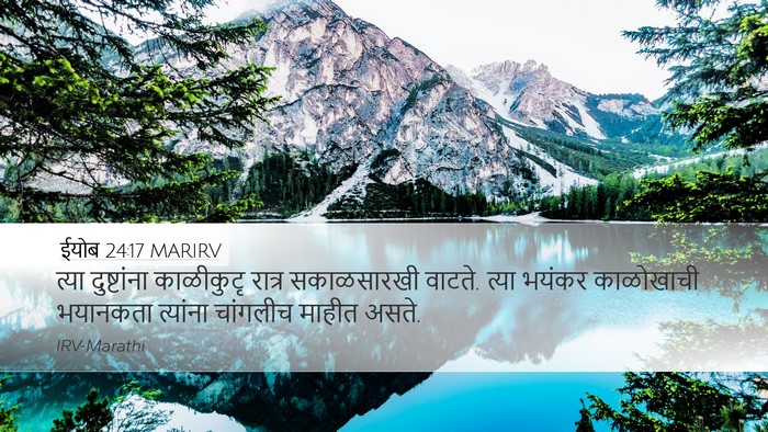 ईयोब 24:17 MARIRV Bible Verse Image
