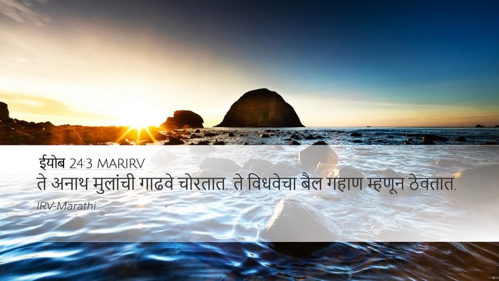 ईयोब 24:3 MARIRV Bible Verse Image
