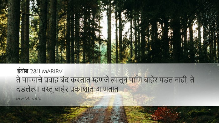 ईयोब 28:11 MARIRV Bible Verse Image