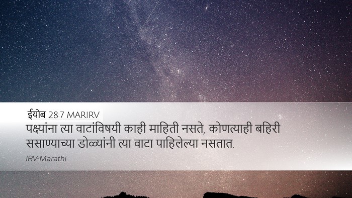 ईयोब 28:7 MARIRV Desktop Wallpaper - पक्ष्यांना त्या - Desktop Bible Verse Wallpaper