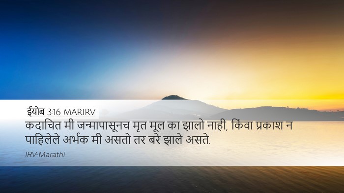 ईयोब 3:16 MARIRV Bible Verse Image