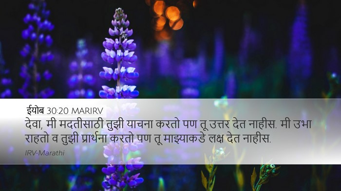 ईयोब 30:20 MARIRV Bible Verse Image