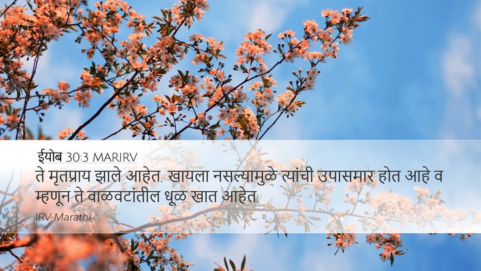 ईयोब 30:3 MARIRV Bible Verse Image