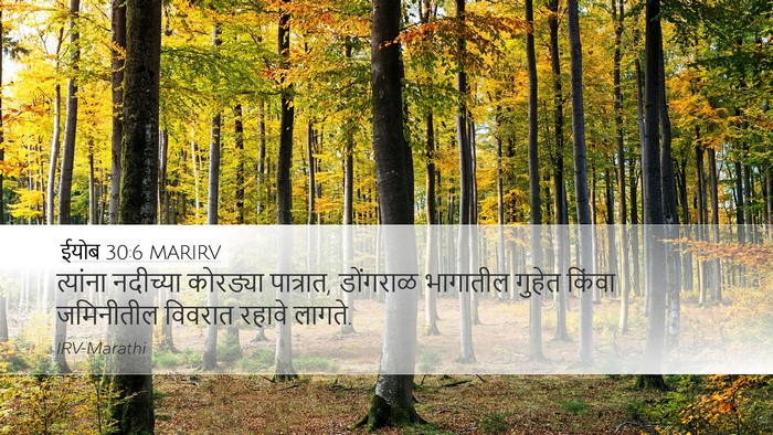 ईयोब 30:6 MARIRV Bible Verse Image