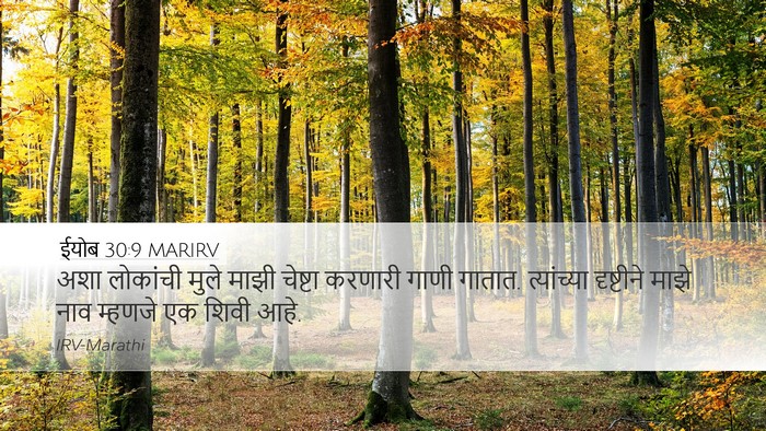 ईयोब 30:9 MARIRV Bible Verse Image