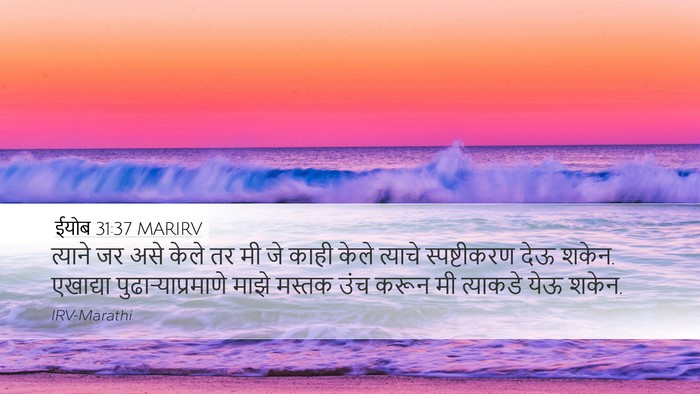 ईयोब 31:37 MARIRV Bible Verse Image