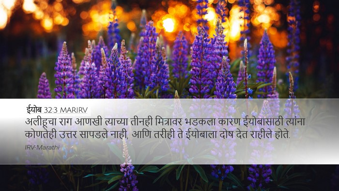 ईयोब 32:3 MARIRV Bible Verse Image