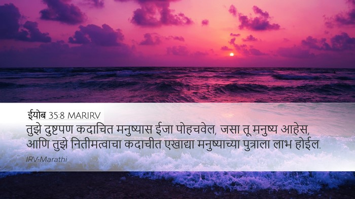 ईयोब 35:8 MARIRV Desktop Wallpaper - तुझे दुष्टपण - Desktop Bible Verse Wallpaper