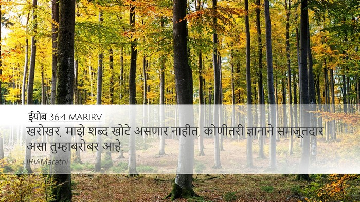 ईयोब 36:4 MARIRV Bible Verse Image