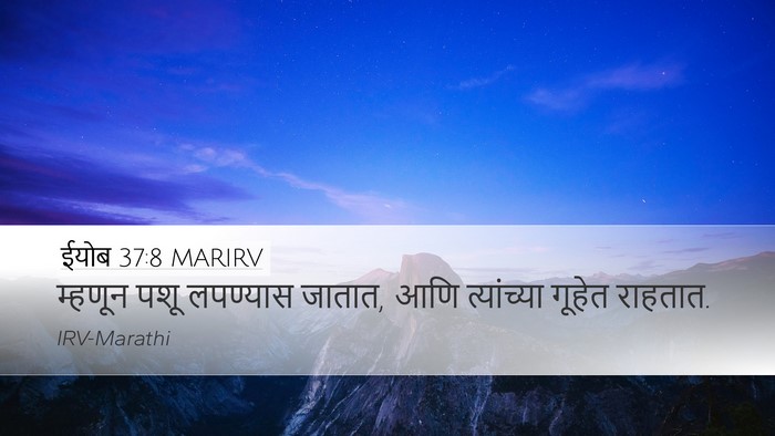 ईयोब 37:8 MARIRV Bible Verse Image
