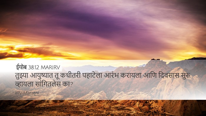 ईयोब 38:12 MARIRV Bible Verse Image