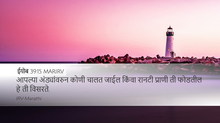 ईयोब 39:15 MARIRV Desktop Wallpaper - आपल्या - Desktop Bible Verse Wallpaper