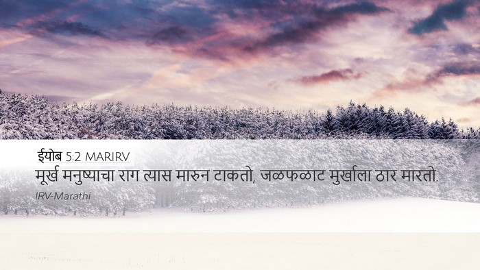 ईयोब 5:2 MARIRV Bible Verse Image