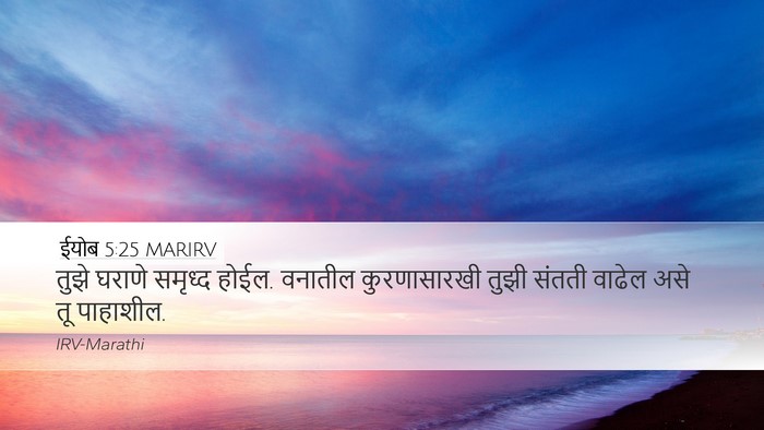 ईयोब 5:25 MARIRV Desktop Wallpaper - तुझे घराणे समृध्द - Desktop Bible Verse Wallpaper