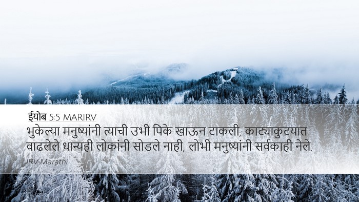 ईयोब 5:5 MARIRV Bible Verse Image