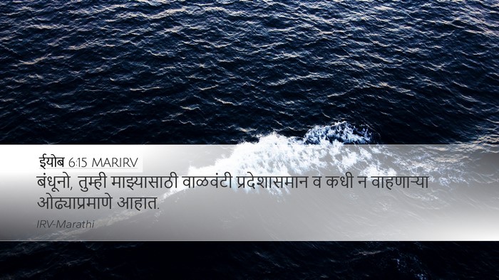 ईयोब 6:15 MARIRV Bible Verse Image