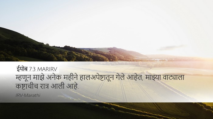 ईयोब 7:3 MARIRV Bible Verse Image
