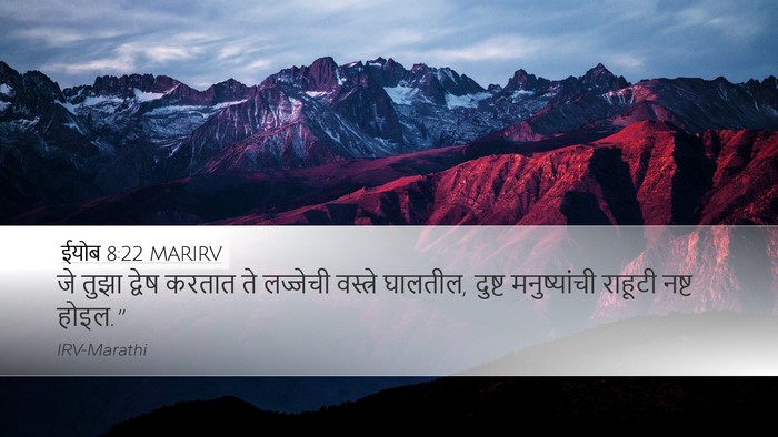 ईयोब 8:22 MARIRV Bible Verse Image