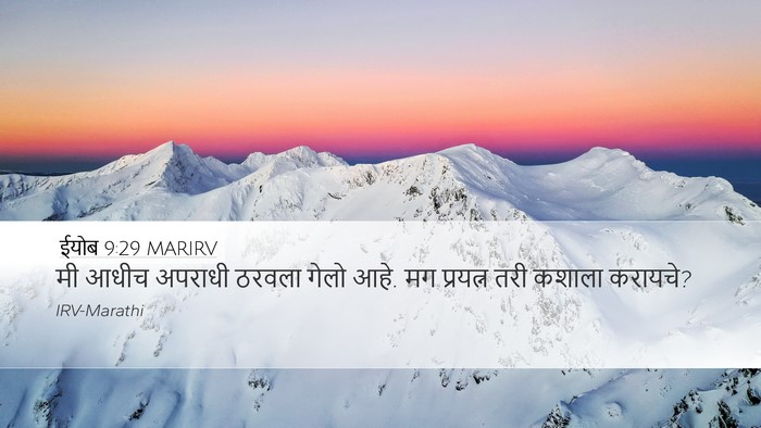 ईयोब 9:29 MARIRV Bible Verse Image