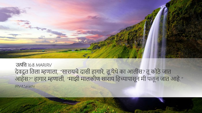 उत्पत्ति 16:8 MARIRV Bible Verse Image