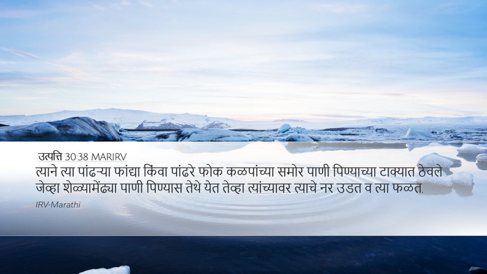 उत्पत्ति 30:38 MARIRV Desktop Wallpaper - त्याने त्या - Desktop Bible Verse Wallpaper