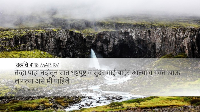 उत्पत्ति 41:18 MARIRV Bible Verse Image
