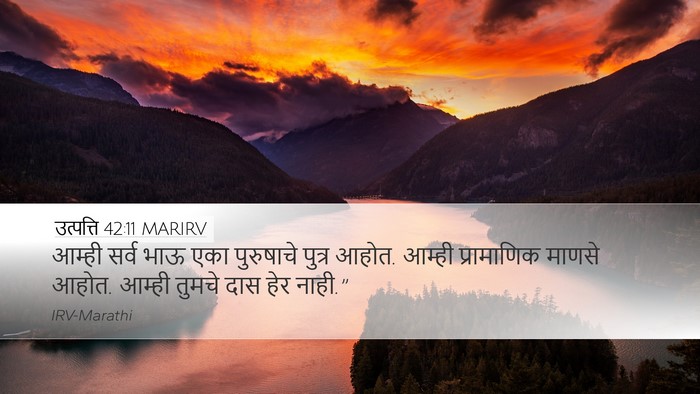 उत्पत्ति 42:11 MARIRV Bible Verse Image