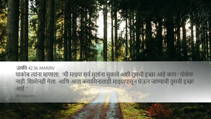 उत्पत्ति 42:36 MARIRV Bible Verse Image