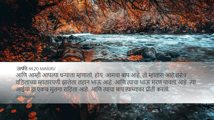 उत्पत्ति 44:20 MARIRV Bible Verse Image