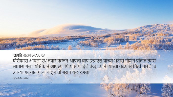 उत्पत्ति 46:29 MARIRV Bible Verse Image